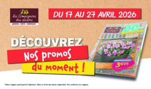 promos plantes printemps fleurs potager tombola